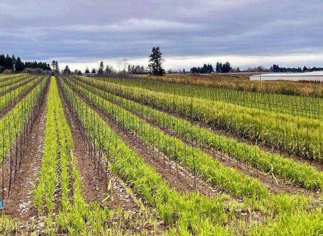 ‘Forever farm’ secured in East Multnomah County